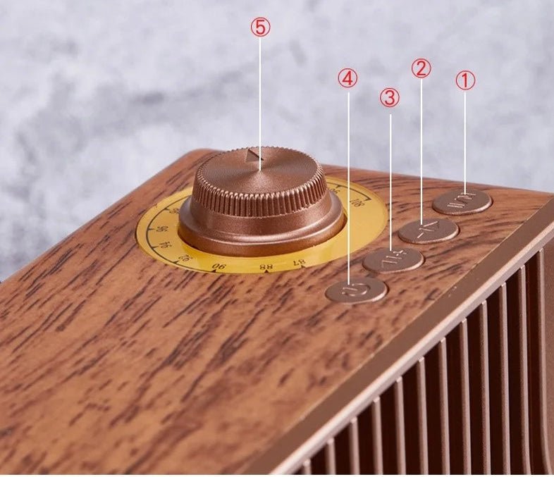 Enceinte Audio Vintage Rose - Louise Vintage