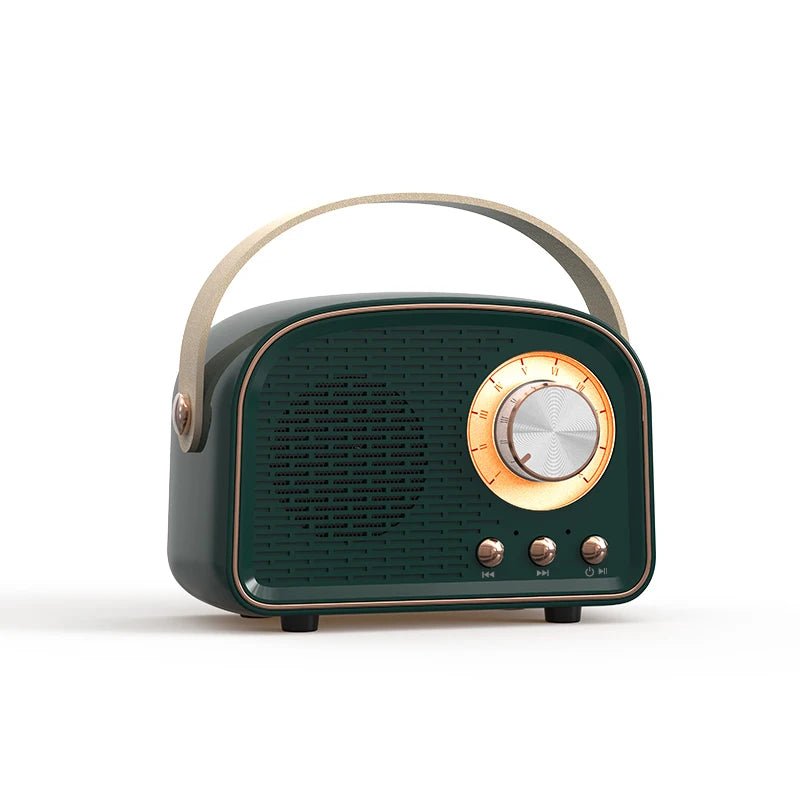 Enceinte Ronde Vintage - Louise Vintage