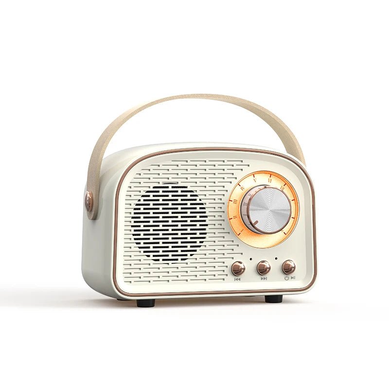 Enceinte Ronde Vintage - Louise Vintage