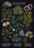 Affiche Herbier Vintage - Louise Vintage