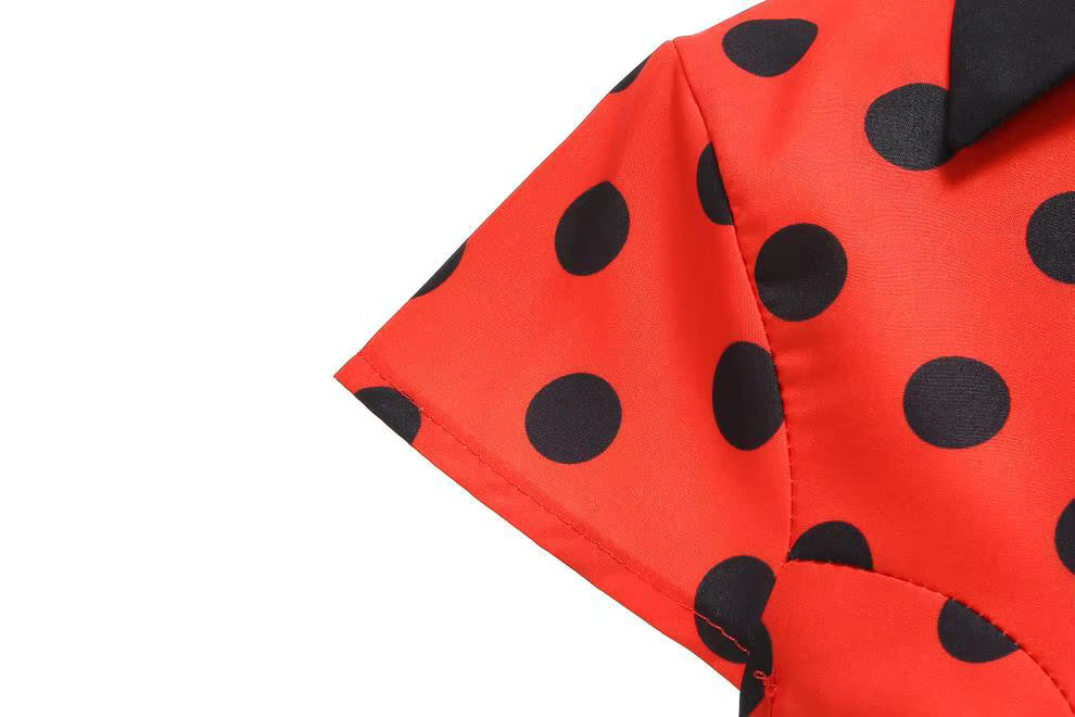 Robe Rockabilly Année 50 Rouge