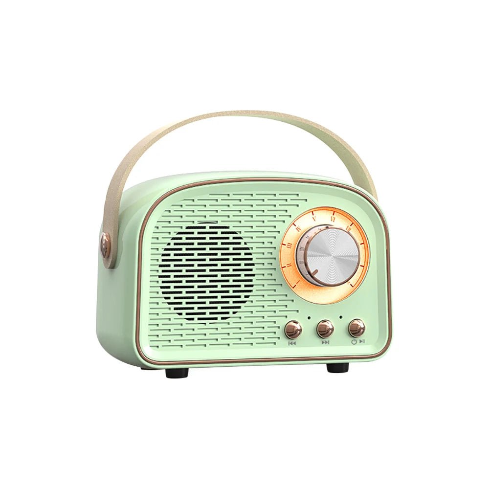 Enceinte Portable Vintage - Louise Vintage