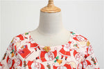 Robe Vintage Hiver Rose Noel - Louise Vintage